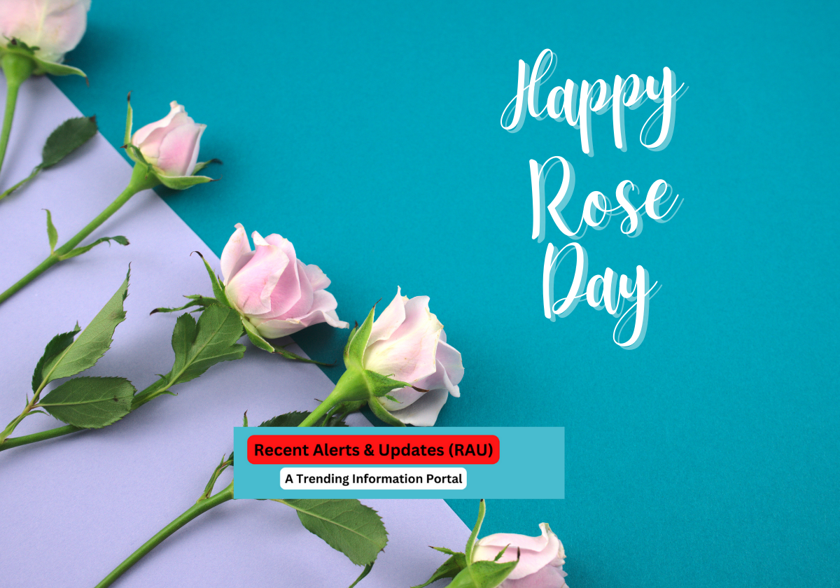Rose Day 2023: Instagram Captions, Download Status & Shayari For Loved Ones